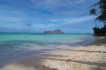 Rabbit ISland